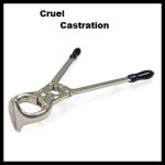 cruel castration