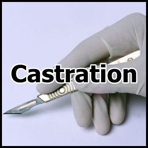castration emasculation